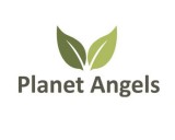 https://www.logocontest.com/public/logoimage/1540066156Planet-Angel-2.jpg