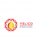 https://www.logocontest.com/public/logoimage/1600963484velico_5.png