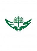 https://www.logocontest.com/public/logoimage/1644765609eagle-logo-icon-heraldic-style_126523-770.jpg
